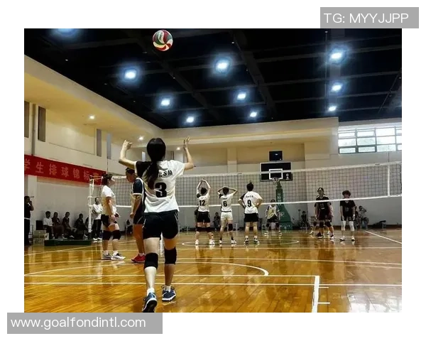 聚焦排球精神：探讨上海排球队的团队意识与竞技文化