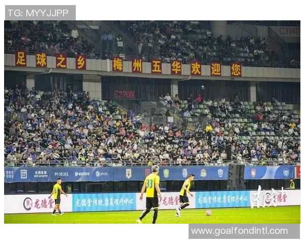 苏姓足球明星的辉煌历程与成就解析