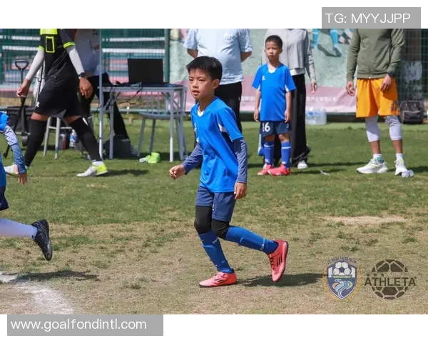 蚂蚁足球明星球员的成长之路与赛场精彩瞬间回顾