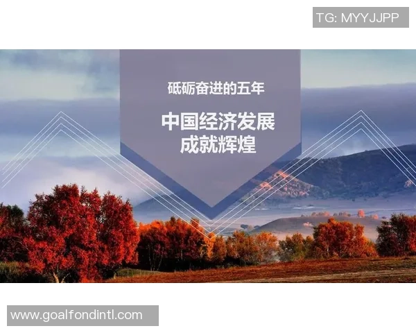 马姓足球明星的辉煌历程与成就解析